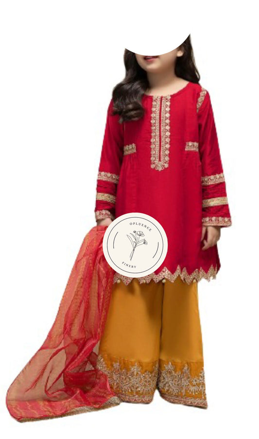 Awesome Red and Golden Anarkali Plazzo and Dupatta Set. Frankfurt